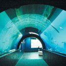 화진포해양박물관 이미지