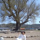 하멜기념관 이미지