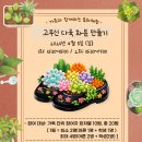 ㈜송악 Daum카페