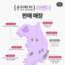 폴 바셋 강남역 삼성화재점