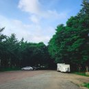 에듀팜파크 | 스케일 실화냐? 경주 에듀팜파크 캠핑장 후기 (aka.경주국민힐링파크)