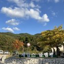 화동로 | 포천 제임스글램핑 신상 카라반 바베큐 불멍 내돈내산 만족 후기