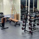 타이거휘트니스 이미지