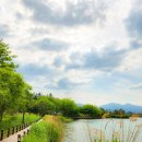 영랑호수공원 이미지