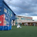타이어프로 칠곡점 | 대구 칠곡애견카페 메종드댕댕 단골후기