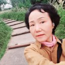경산시청 옆 어울림숲 산책 이미지