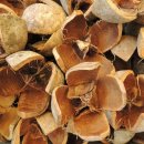 차만술행정사사무소 이미지