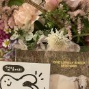 어리염소 이미지