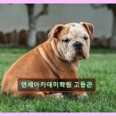 분당삼평-A-37 | 분당 가성비 영어교육 연세아카데미학원 고등관 열정과 체계의 조화