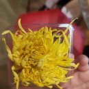 (주)아이웰리스 이미지