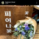 피어나꽃