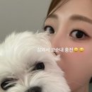 신예원 이미지