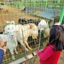 임진강목장 이미지