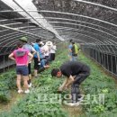 영농농장 이미지