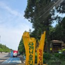 둘레길7구간 | 제주 조천읍 가볼 만한 곳 사려니숲 / 한라한 둘레길 7구간 / 푸드트럭 먹거리 군것질 입장료 주차