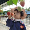 둥이농장 이미지