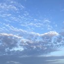 8월 말, 5박 6일 제주(서귀포)여행코스 공유(사계해변 서핑, 검멀레해변동굴보트, 흑돼지맛집...)