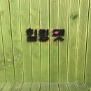 (주)힐링펫 이미지