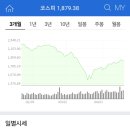 평화홀딩스(주)