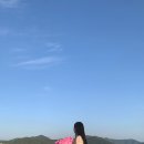 아라마린서비스