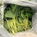 송림농장 이미지