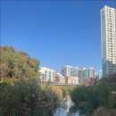 편안한요양병원 이미지