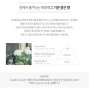 워시블랑 이미지