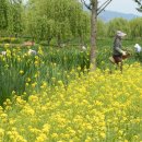 거창-거창-1 이미지