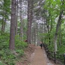국립덕유산자연휴양림 위생복합시설 | 무주 덕유산자연휴양림 야영장 125번 데크 (무주 국립 캠핑장)