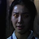 예쁜여우 이미지