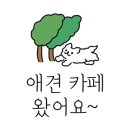 뽀삐애견 이미지
