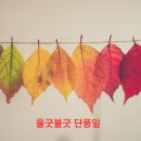세정기업 이미지