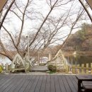 숲속앤정원 이미지