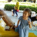 아란 농장 이미지