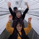 혜숙농장 이미지