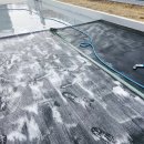 모모댕댕 이미지