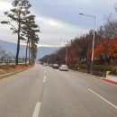 라파참안마원 네이버블로그