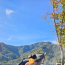 금수문화공원야영장(1) 이미지