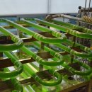 (주)카이로스 이미지