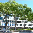 해남군청 이미지