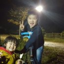 강진호수공원캠핑장 이미지