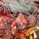 아이러브펫AC 이미지