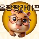 인생감자탕 논현점 | 서초 논현역 감자탕 맛집 &#39;인생감자탕 논현점&#39; 직장인 점심추천 내돈내산 솔직후기