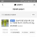 난생 처음 먹어본 샤인 머스켓 후기 (feat_과일가게 여시) 이미지