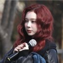 레드쿨헤어 이미지
