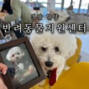 단장면 반려동물지원센터 이미지