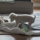 한국타이어다진테크(주) | 블로그를 살려볼 결심