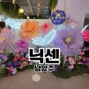 59 | 경기도 남양주 가볼만한곳 대형카페 닉센 Niksen