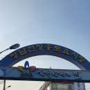 정남진장흥토요시장 | [전남 장흥 여행] 정남진 장흥 토요시장 &amp; 장흥 삼합 거리 탐방기