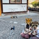 청미재 한옥 스테이 이미지